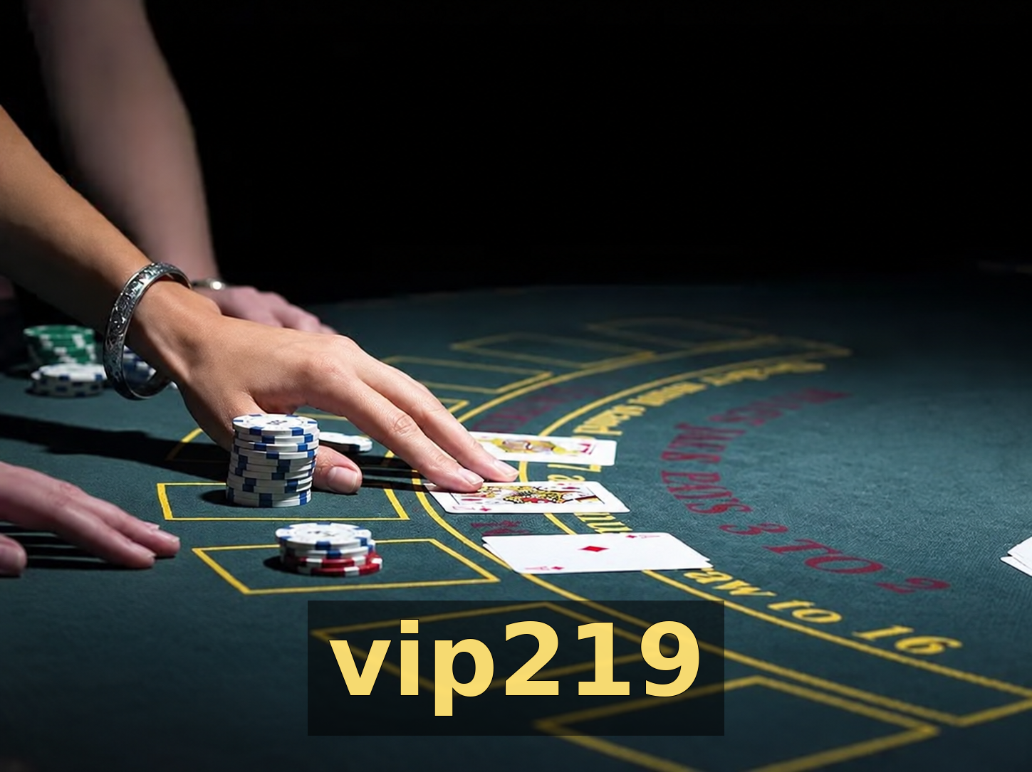 vip219 - Galeria 1