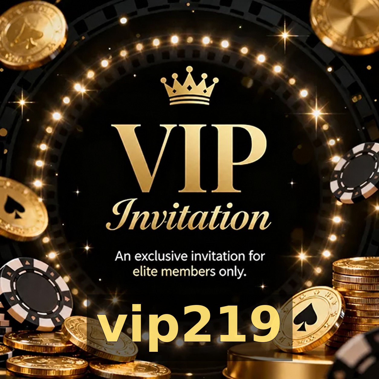 vip219 - Galeria 3