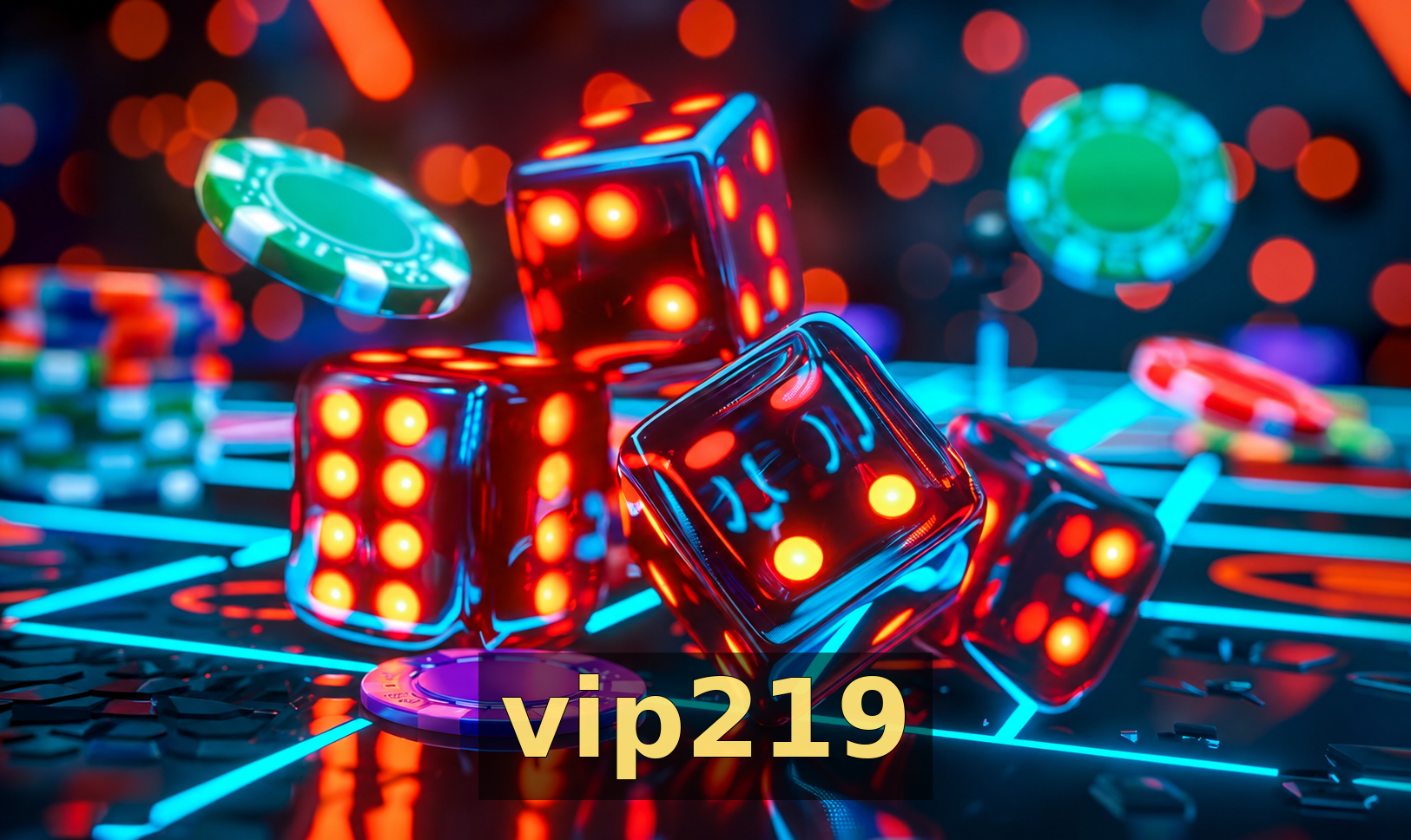 vip219 - Galeria 1